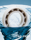 PRB15 Plastic ball bearings